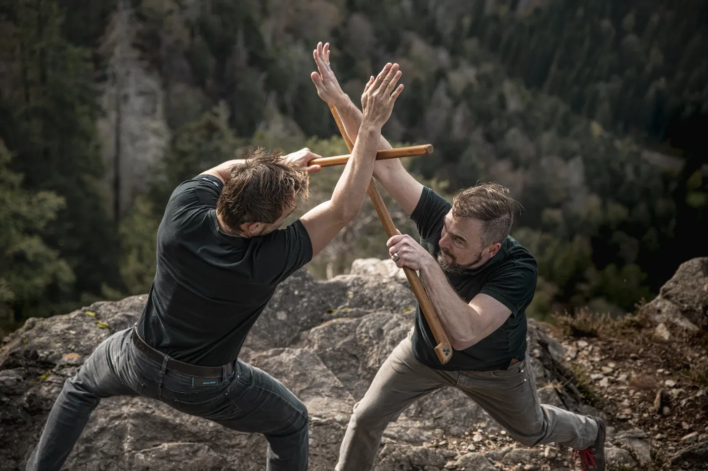 Abteilung Irish Stick Fighting